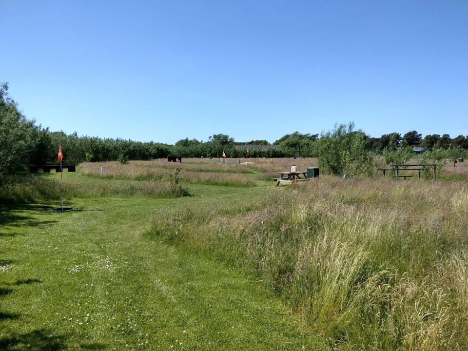 House | Miscellaneous