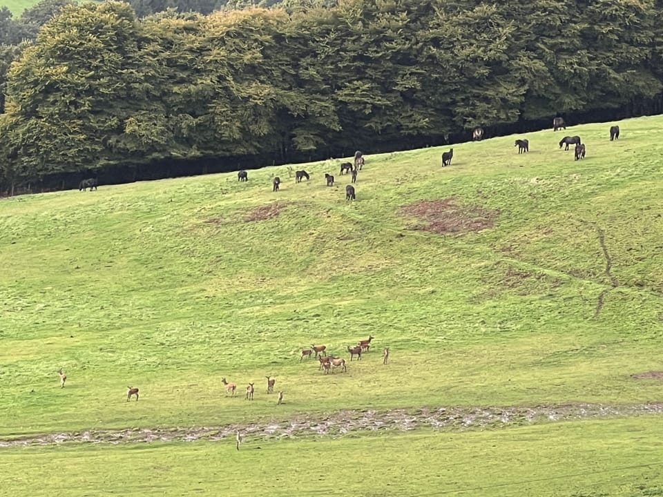 Fields below Byre Cottage