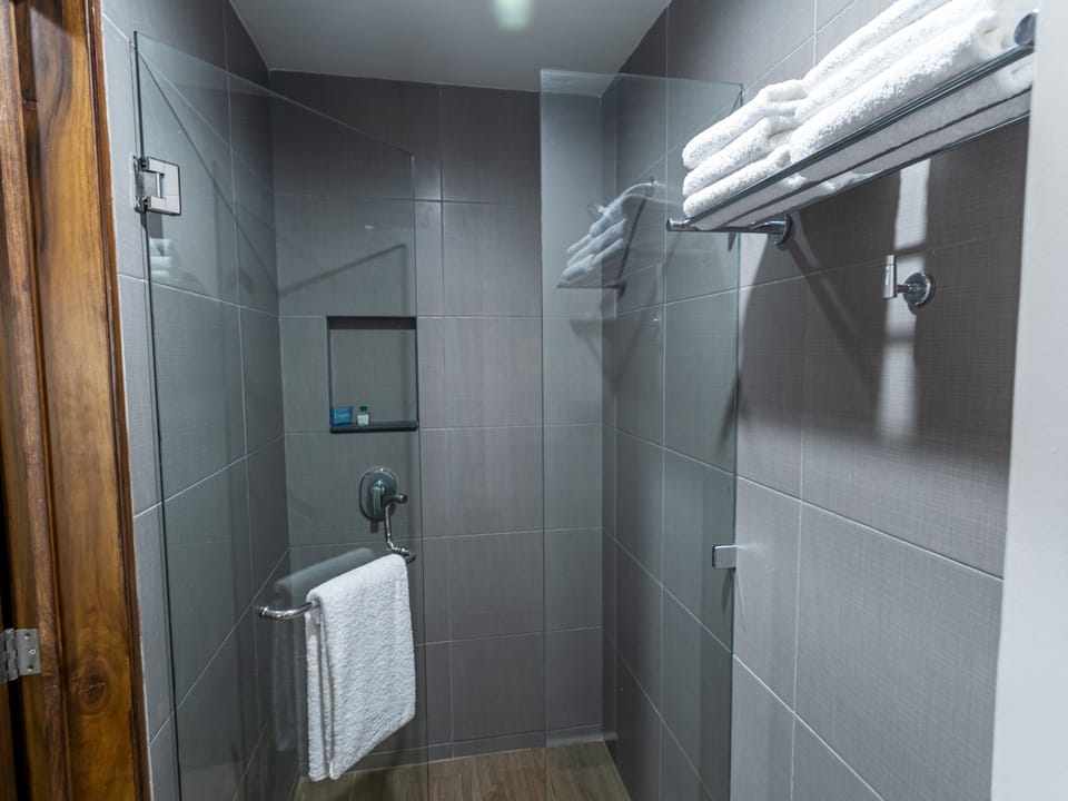Shower, towels