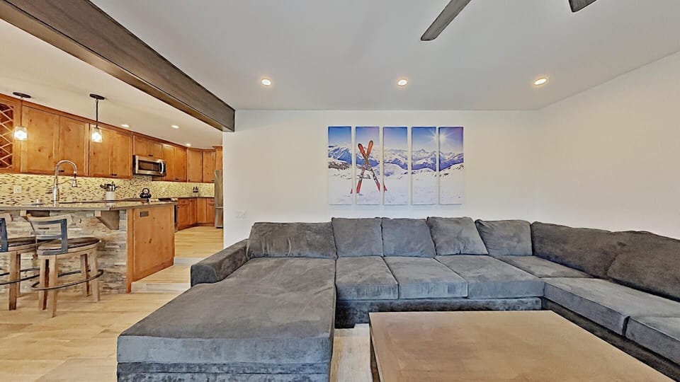 Deluxe Living Room and Kitchen