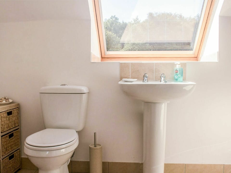Brown, Mirror, Tap, Plumbing Fixture, Sink, Property, Bathroom Sink, White, Purple, Product