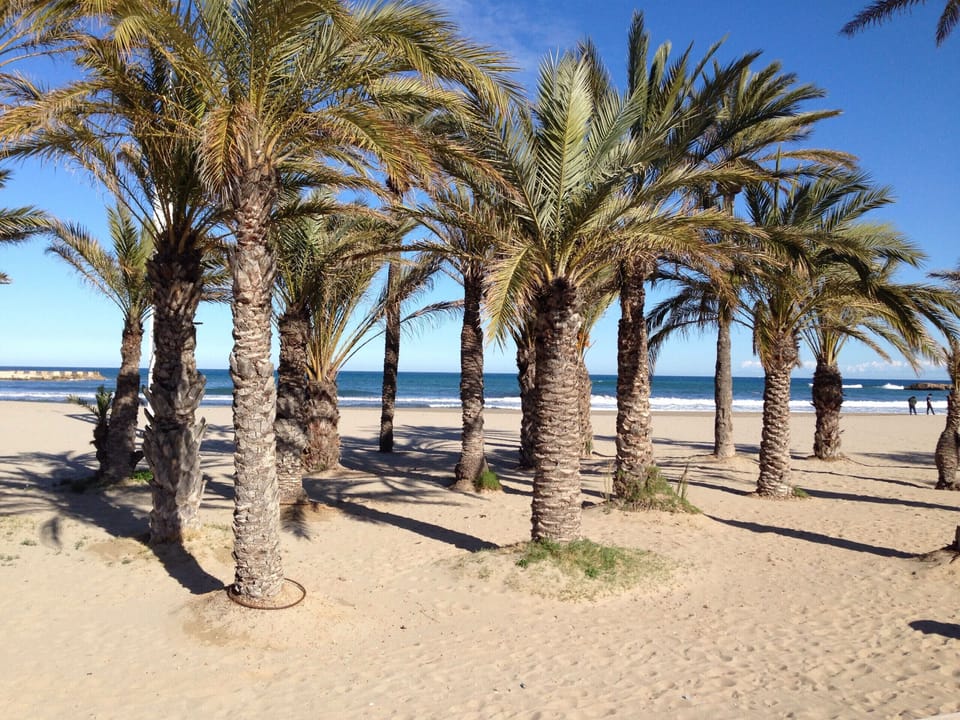 Beach