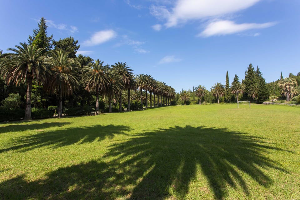 Studio (Studio Apartment with Balcony) | Aerial view
