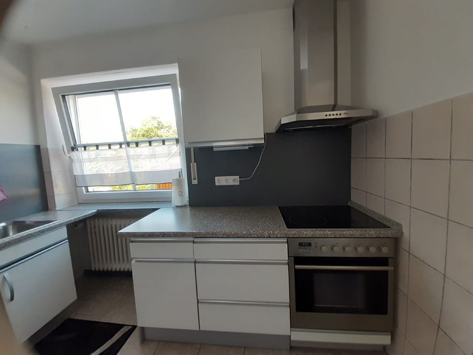 Apartment, Patio | Private kitchen | Fridge, microwave, oven, stovetop