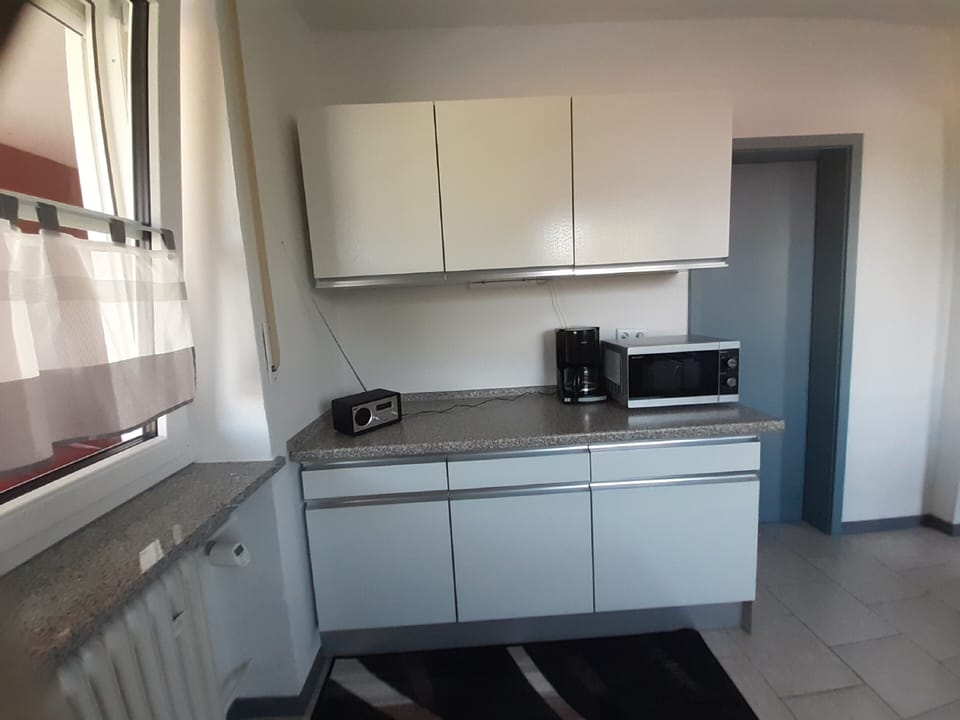 Apartment, Patio | Private kitchen | Fridge, microwave, oven, stovetop