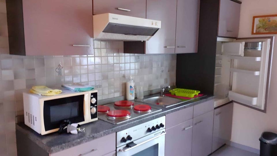 Apartment | Private kitchen | Fridge, microwave, oven, stovetop