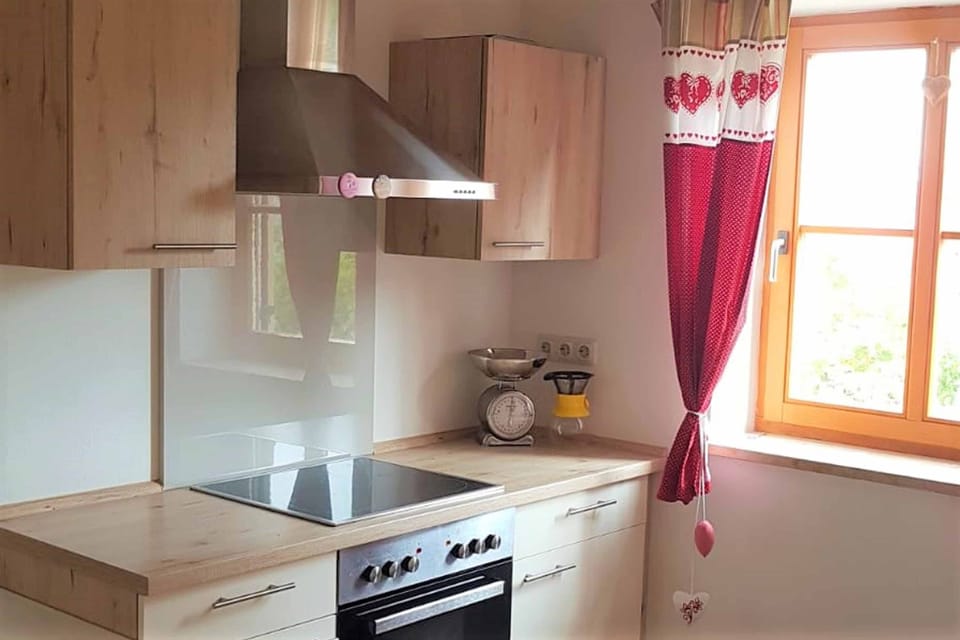 Apartment | Private kitchen | Fridge, microwave, oven, stovetop