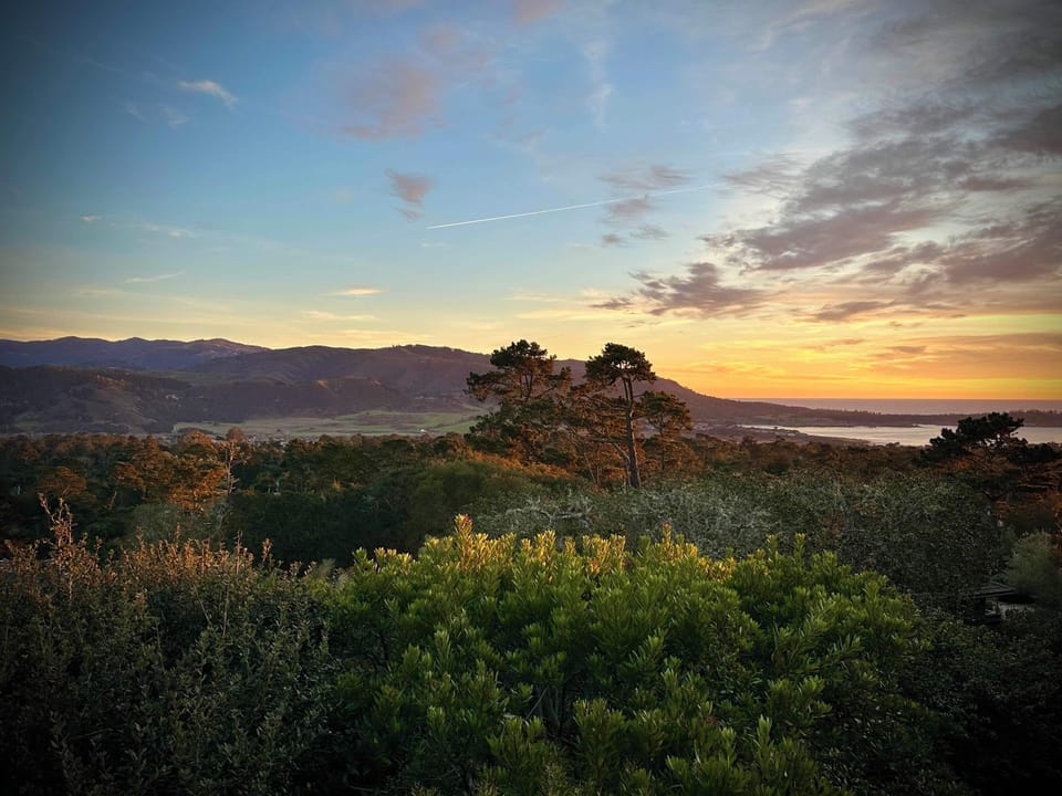 Late afternoon South-West across to Point Lobos. Enjoy the sunset!