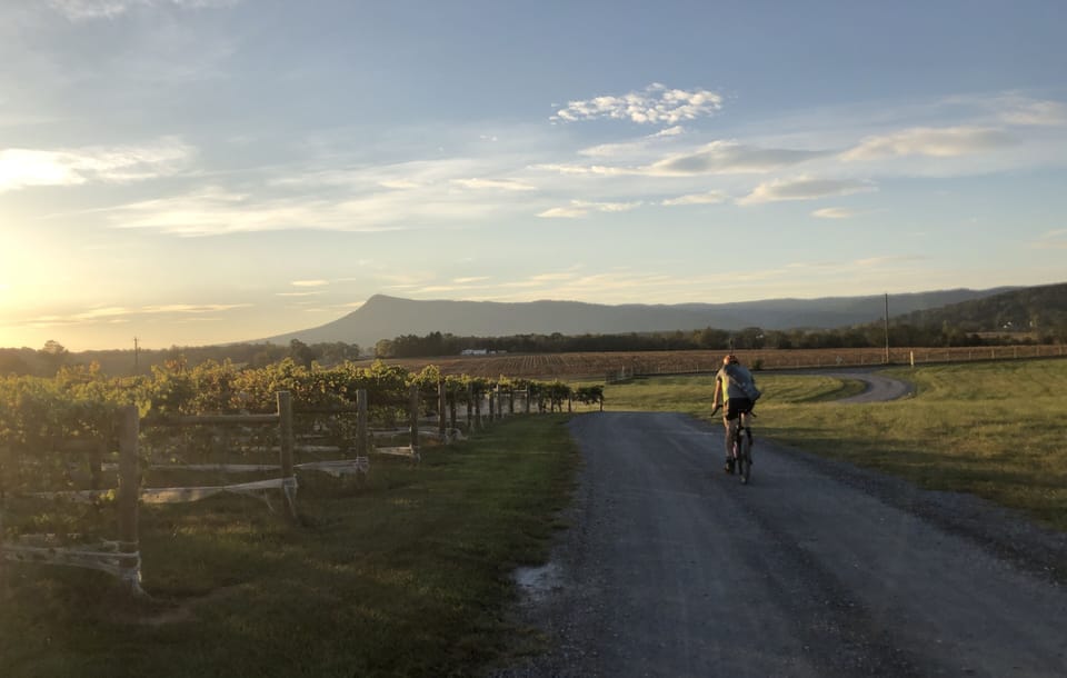 Five wonderful vineyards all within 5 to 25 miles of the house.