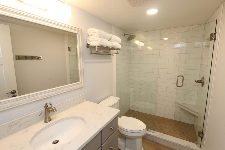 Downstairs Master Bathroom