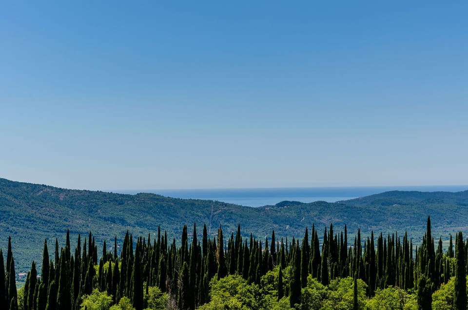 Villa (Three Bedroom Apartment with Terrace ) | View from room