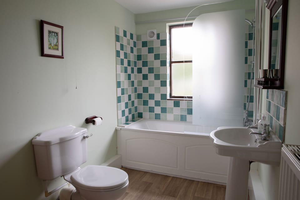 Honeysuckle Cottage - Bathroom with shower