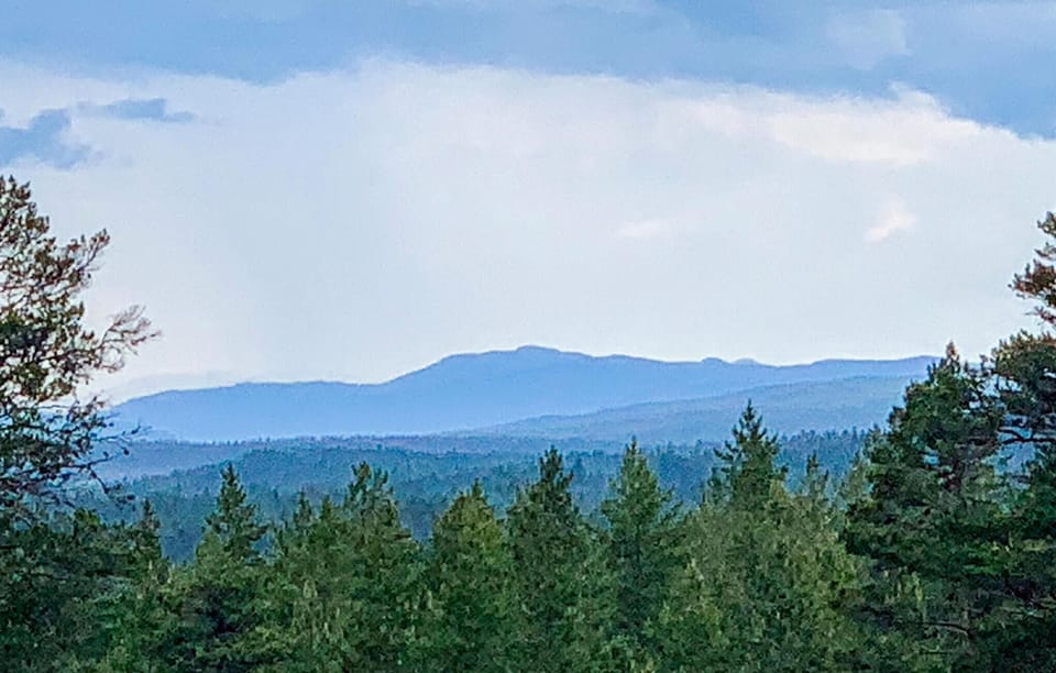 area