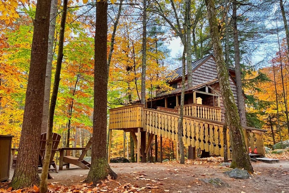 Treehouse entrance and fire pit