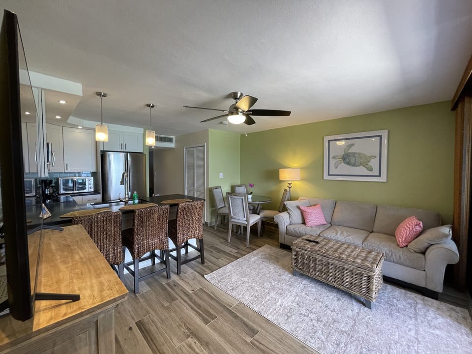 Living room (with a Queen size sofa bed) and kitchen.