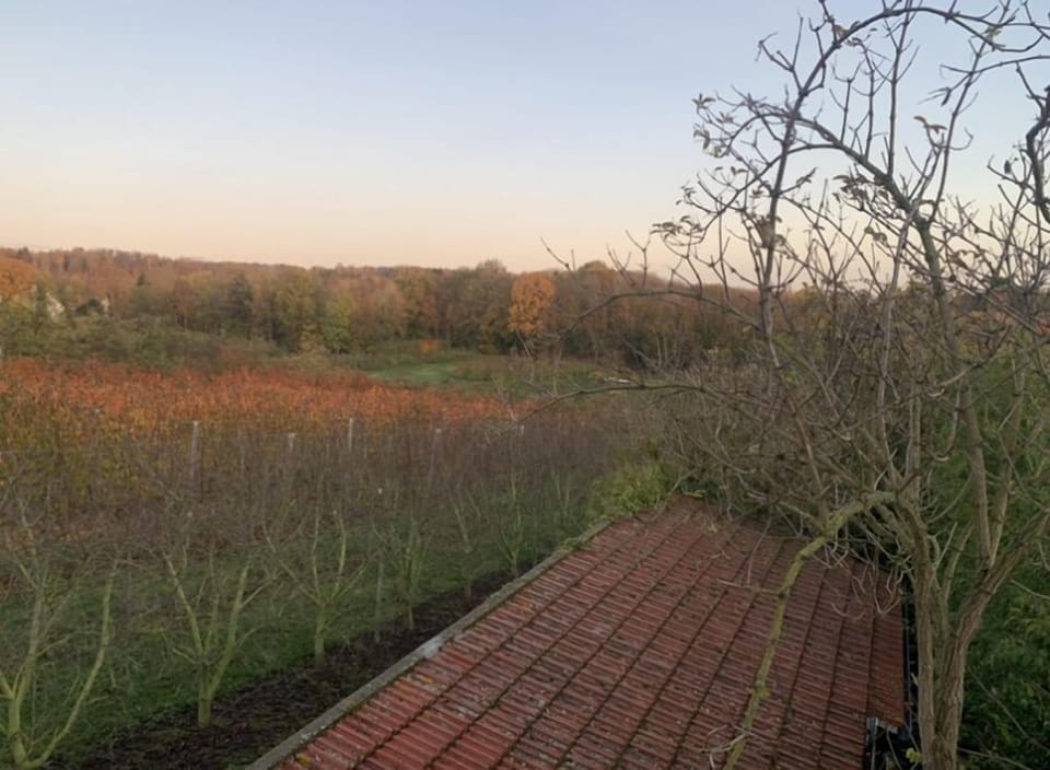 Image 15
