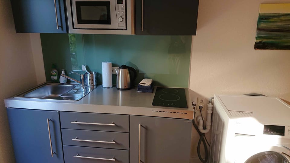 Apartment | Private kitchenette | Fridge, microwave, stovetop, electric kettle