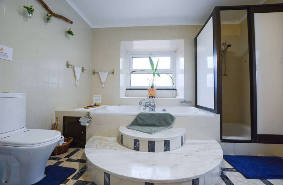 Mid-century marble bathroom.