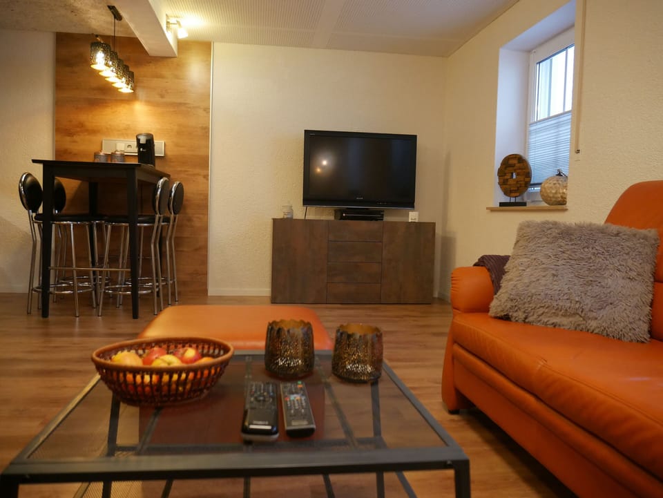 Apartment | Living room | 20-inch TV with satellite channels