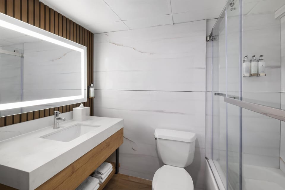 Combined shower/tub, free toiletries, hair dryer, towels