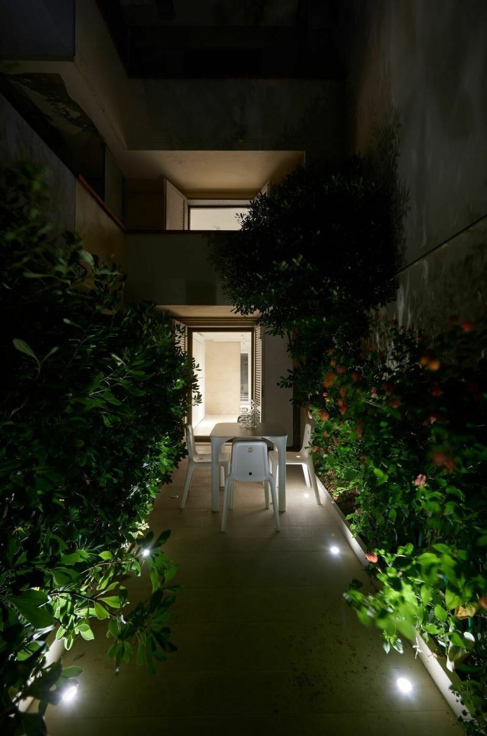 Plant, Building, Nature, Leaf, Vegetation, Lighting, Architecture, Shade, Grass, Urban Design
