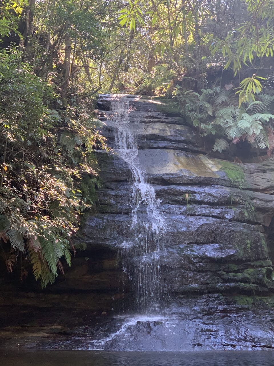 Leura Cascades