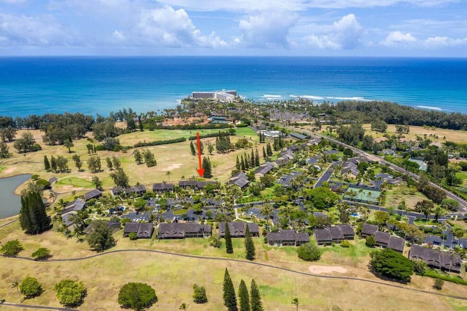 Scenic aerial view of rolling coastline & green landscapes