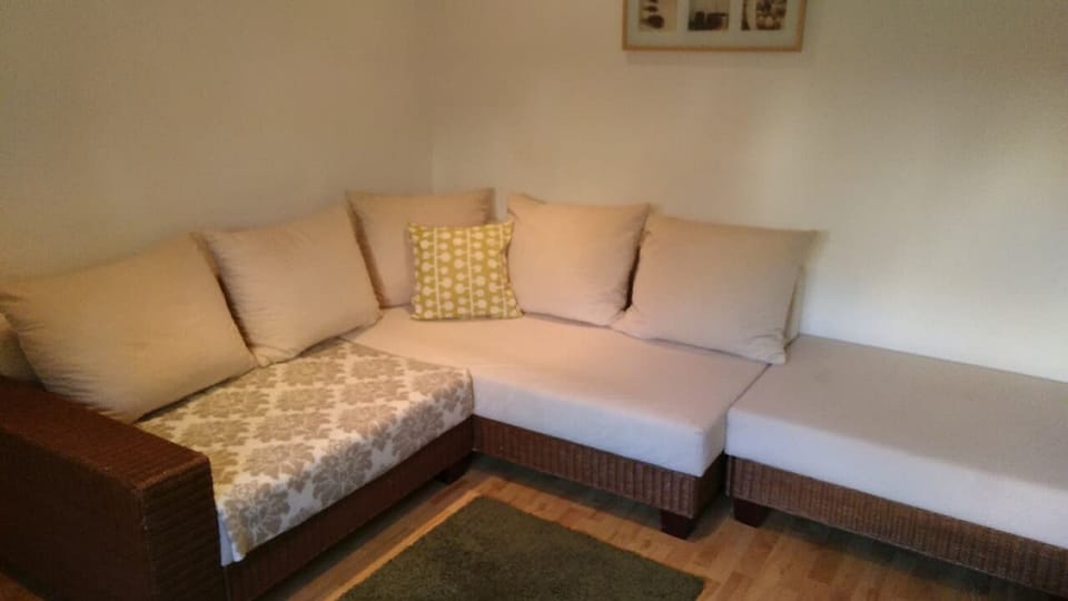 Condo | Living area | 20-inch TV with satellite channels