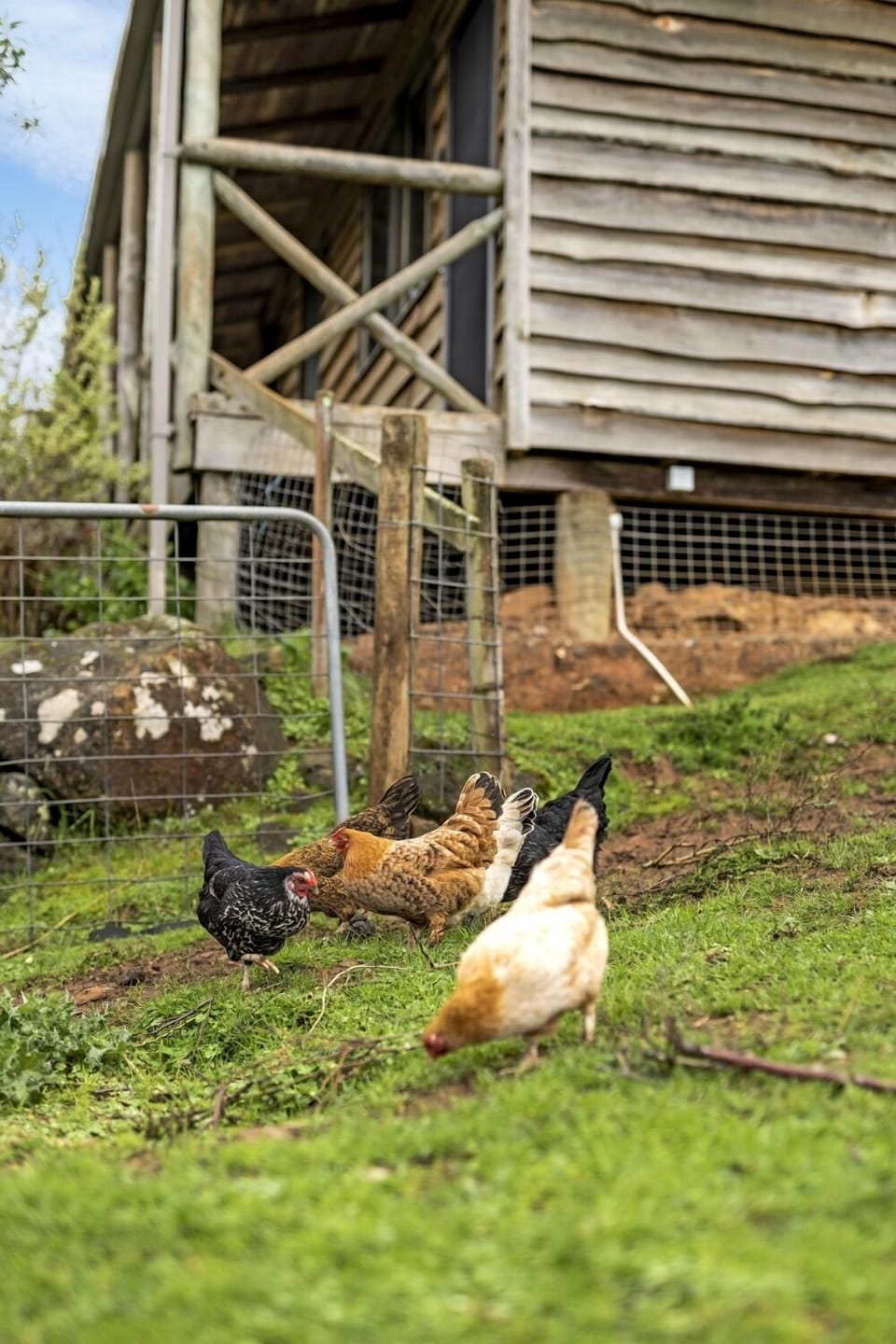 Children's activities