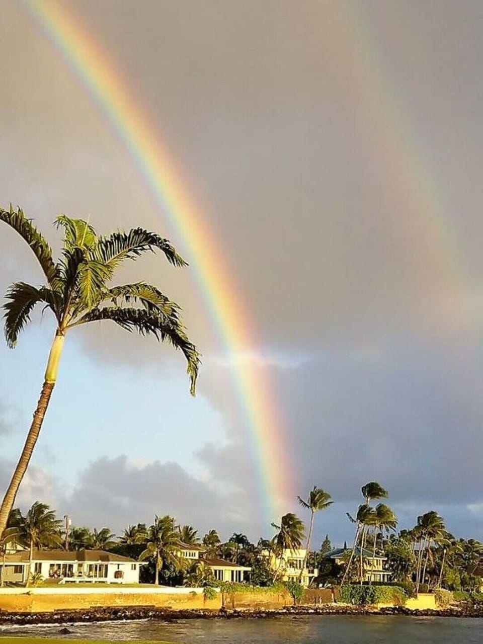 Lots of rainbows!