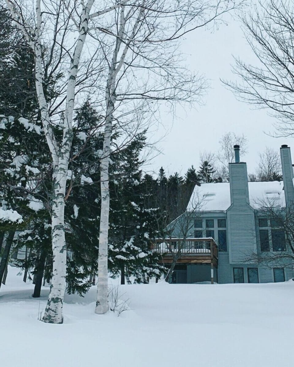 Winter wonderland 
