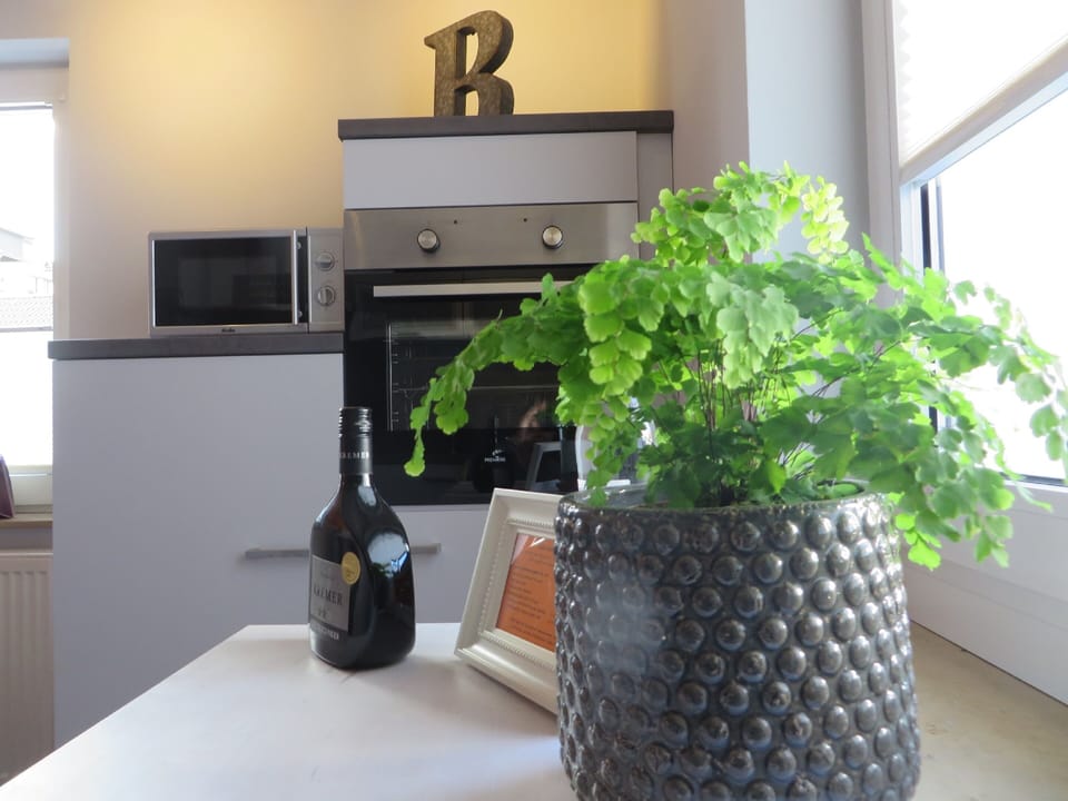 Apartment | Private kitchen | Fridge, microwave, oven, stovetop