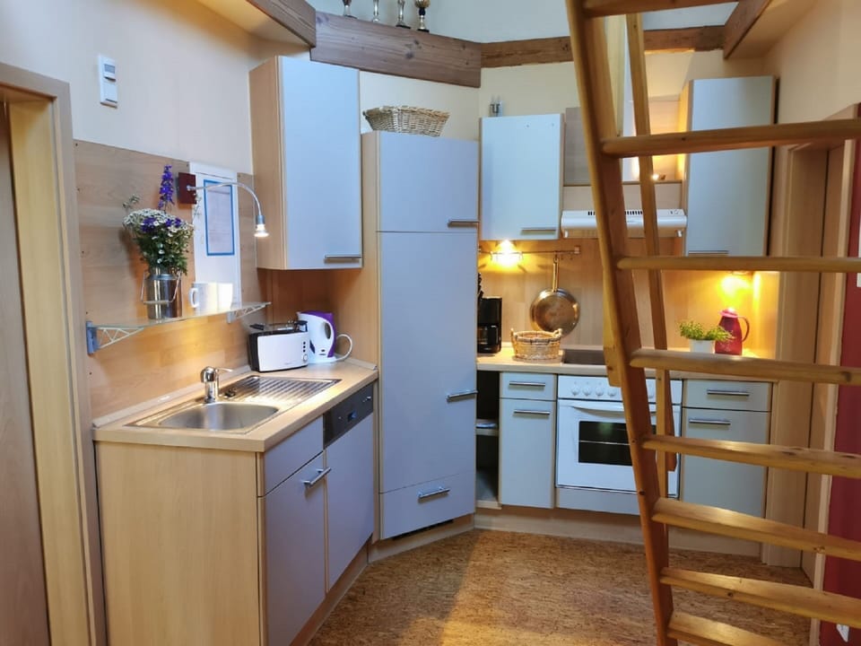 Apartment, 2 Bedrooms, Terrace | Private kitchen | Fridge, oven, dishwasher, coffee/tea maker