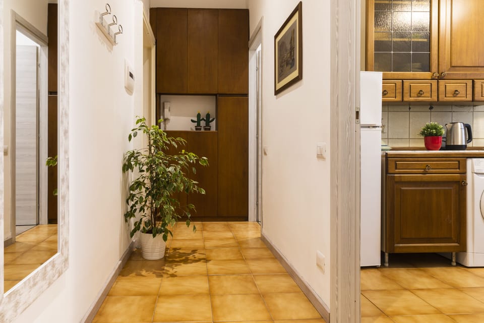 Classic Apartment | Private kitchen | Electric kettle, cookware/dishes/utensils