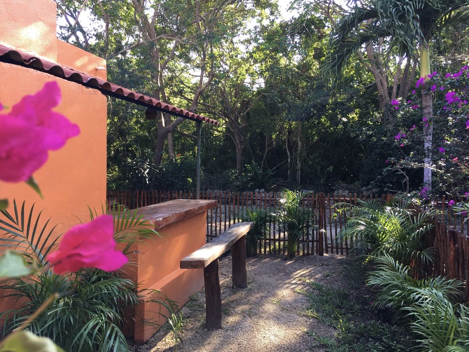 Fenced backyard, with a bar table and a bench