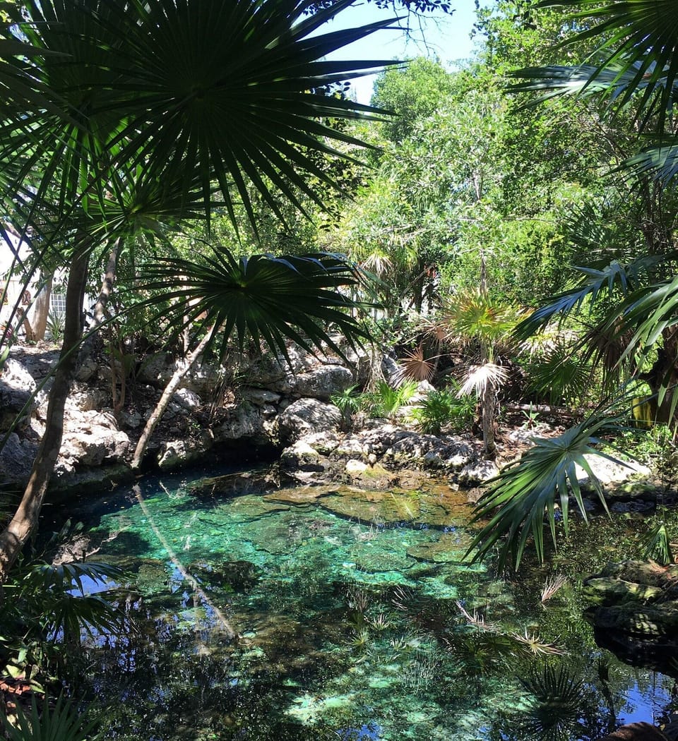 Nice cenote 100 meters away from the house