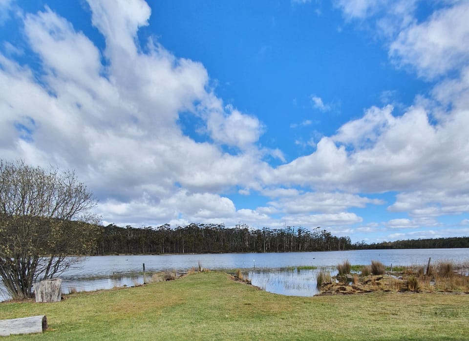 Lake view