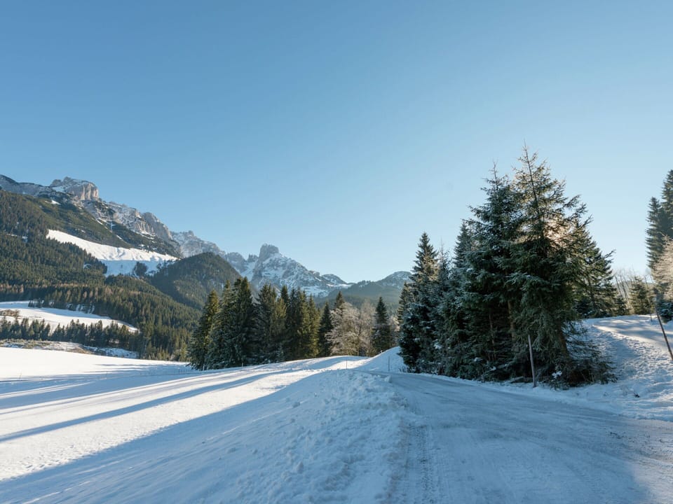 Chalet | View from property