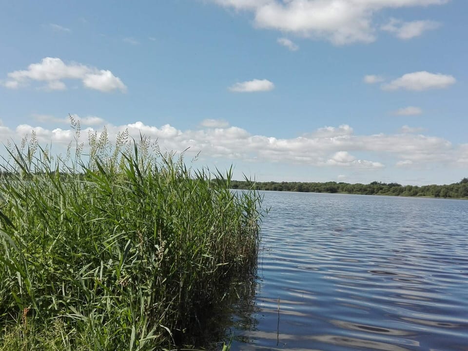 House | Water view