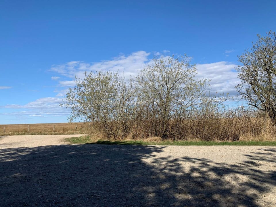 House | Miscellaneous