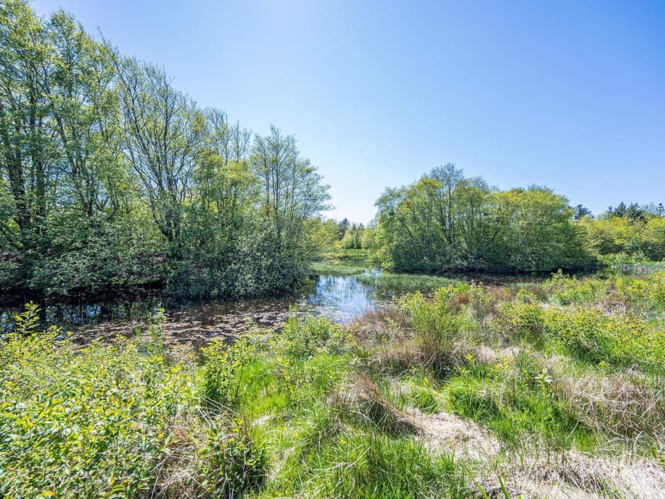 House | View from property