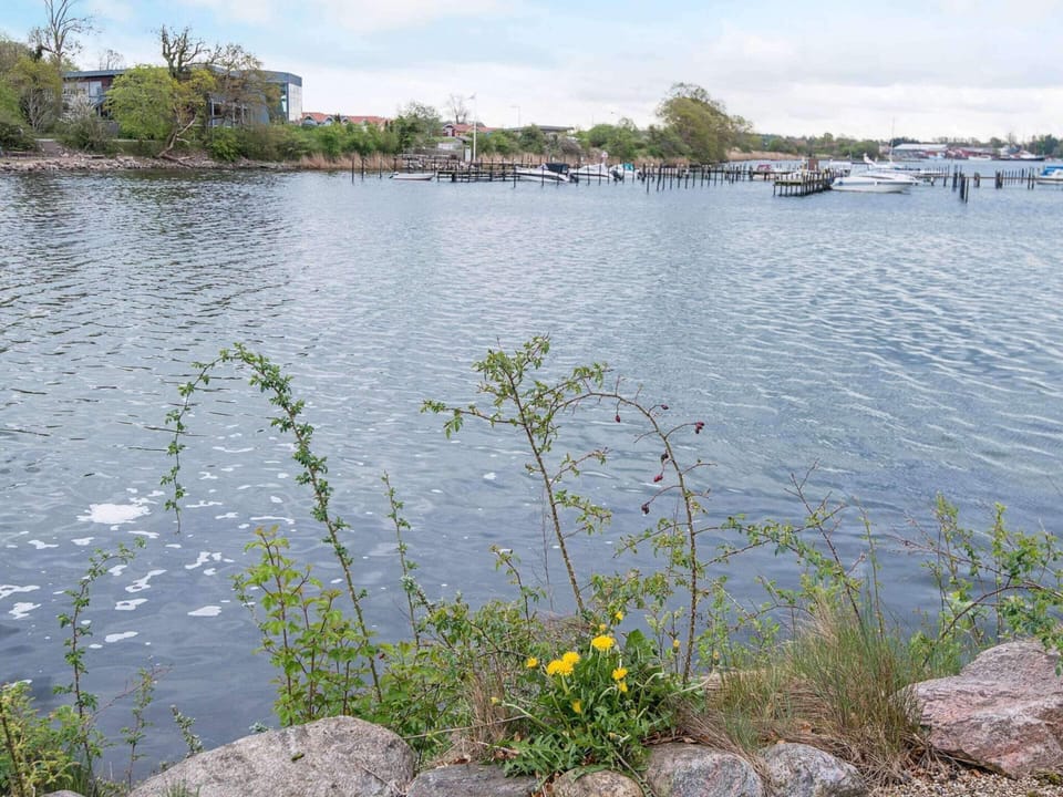House | Water view