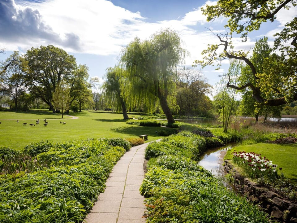 House | Property grounds