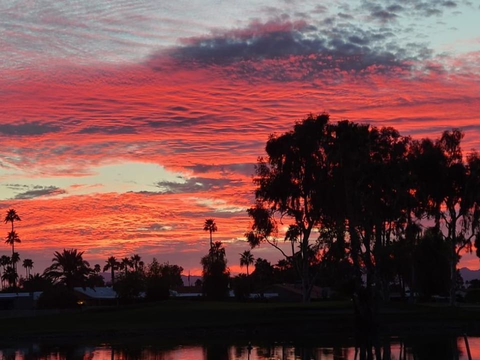 Photo taken  from back yard by guest. Feb, 2021