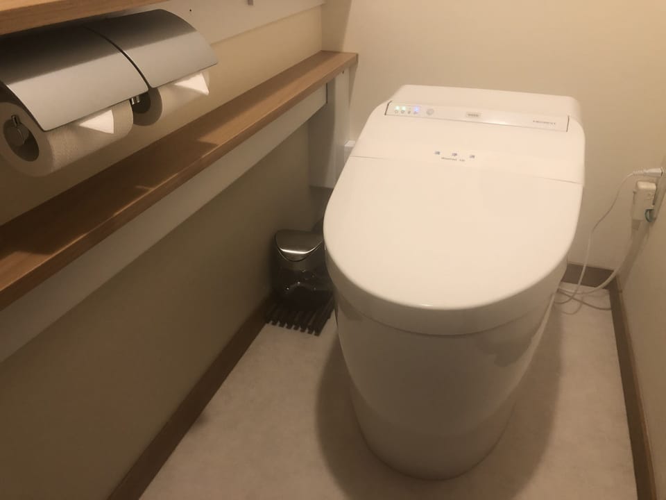 Separate tub and shower, free toiletries, hair dryer, bathrobes