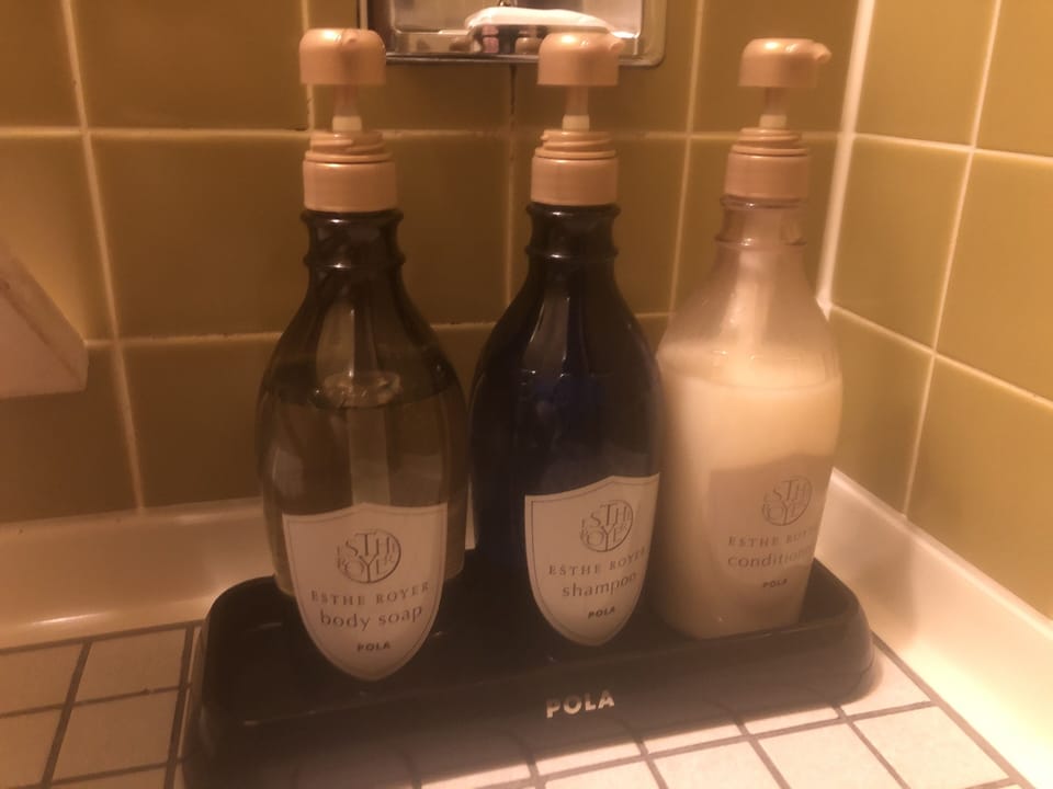 Separate tub and shower, free toiletries, hair dryer, bathrobes