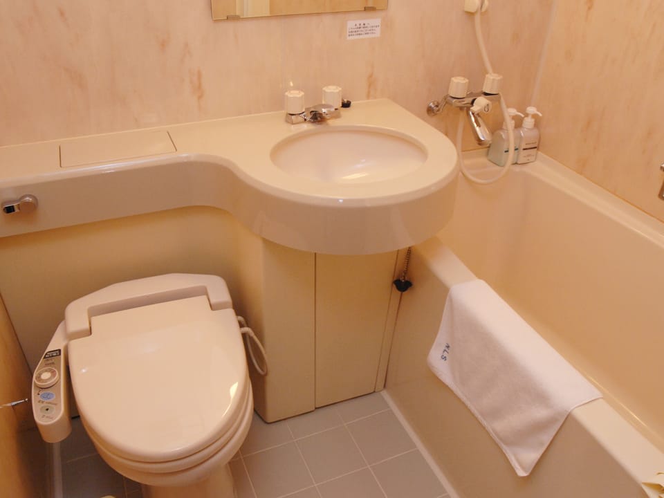 Combined shower/tub, free toiletries, hair dryer (on request), slippers
