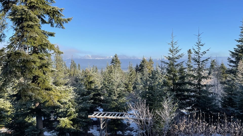 Winter views from the back patio