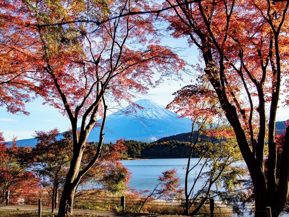 Nearby Sightseeing: Mt. Fuji in Autumn