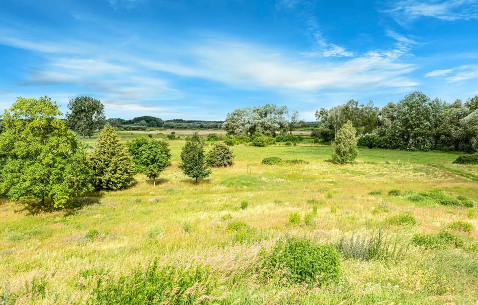 area